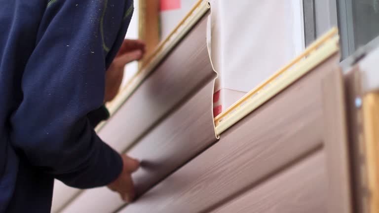 Best Property Management Cleanouts  in South Daytona, FL